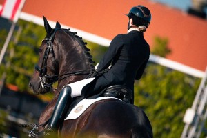 Dressuur: Reglement Paardensport Vlaanderen 2024 gepubliceerd